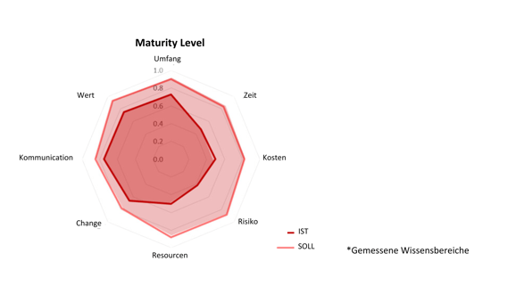 Measured knowledge areas (1)